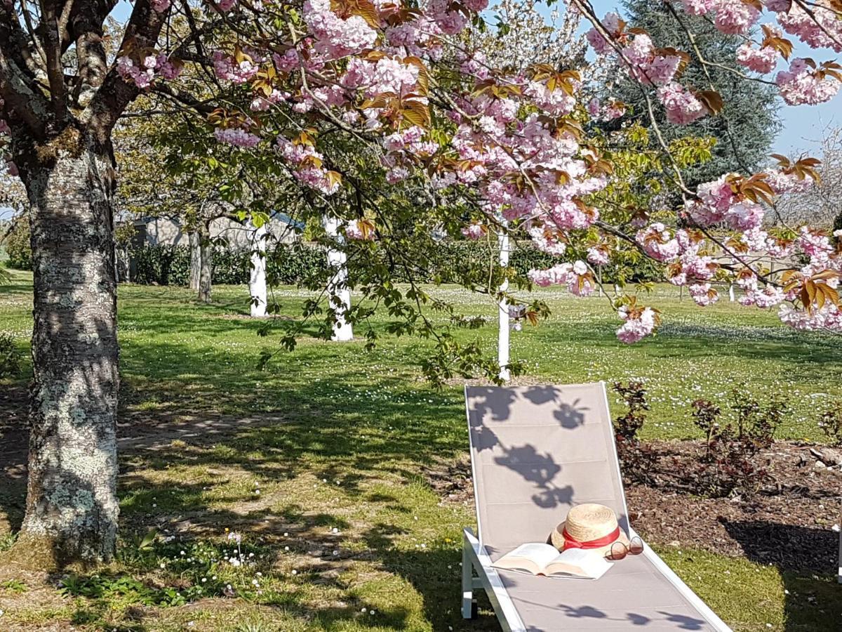 مبيت وإفطار Francueil La Blanchetiere المظهر الخارجي الصورة